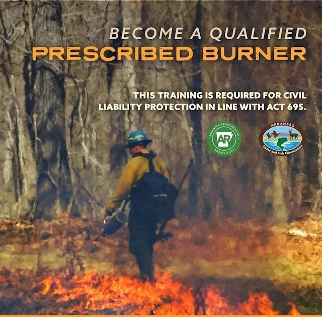 Person conducting a prescribed burn