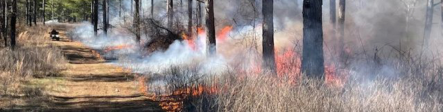 Prescribed fire burning grass and brush